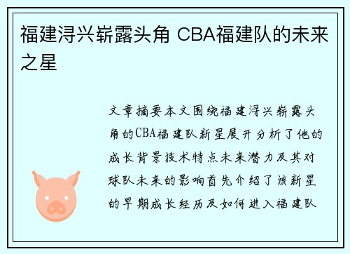 福建浔兴崭露头角 CBA福建队的未来之星